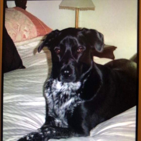 Meet your Posher, Lori - Picture 7 of 13